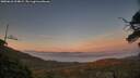 ./images/calvert/fitz-hugh-hecate/20250610/fitz-hugh-hecate20250610_214009M.jpg