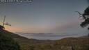 ./images/calvert/fitz-hugh-hecate/20250610/fitz-hugh-hecate20250610_220507M.jpg