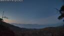 ./images/calvert/fitz-hugh-hecate/20250610/fitz-hugh-hecate20250610_223508M.jpg