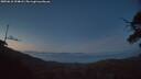 ./images/calvert/fitz-hugh-hecate/20250610/fitz-hugh-hecate20250610_224008M.jpg