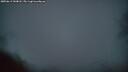./images/calvert/fitz-hugh-hecate/20250611/fitz-hugh-hecate20250611_043008M.jpg