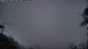 ./images/calvert/fitz-hugh-hecate/20250611/fitz-hugh-hecate20250611_044009M.jpg