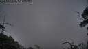 ./images/calvert/fitz-hugh-hecate/20250611/fitz-hugh-hecate20250611_045009M.jpg