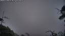 ./images/calvert/fitz-hugh-hecate/20250611/fitz-hugh-hecate20250611_045508M.jpg