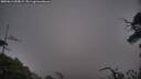 ./images/calvert/fitz-hugh-hecate/20250611/fitz-hugh-hecate20250611_050009M.jpg