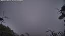 ./images/calvert/fitz-hugh-hecate/20250611/fitz-hugh-hecate20250611_050508M.jpg