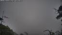 ./images/calvert/fitz-hugh-hecate/20250611/fitz-hugh-hecate20250611_051509M.jpg