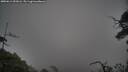 ./images/calvert/fitz-hugh-hecate/20250611/fitz-hugh-hecate20250611_052006M.jpg