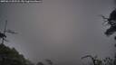 ./images/calvert/fitz-hugh-hecate/20250611/fitz-hugh-hecate20250611_052508M.jpg