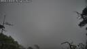./images/calvert/fitz-hugh-hecate/20250611/fitz-hugh-hecate20250611_053509M.jpg
