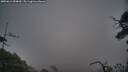 ./images/calvert/fitz-hugh-hecate/20250611/fitz-hugh-hecate20250611_054009M.jpg