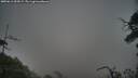 ./images/calvert/fitz-hugh-hecate/20250611/fitz-hugh-hecate20250611_054509M.jpg