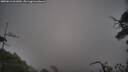 ./images/calvert/fitz-hugh-hecate/20250611/fitz-hugh-hecate20250611_061010M.jpg
