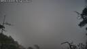 ./images/calvert/fitz-hugh-hecate/20250611/fitz-hugh-hecate20250611_061510M.jpg