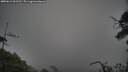 ./images/calvert/fitz-hugh-hecate/20250611/fitz-hugh-hecate20250611_062511M.jpg