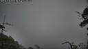 ./images/calvert/fitz-hugh-hecate/20250611/fitz-hugh-hecate20250611_063011M.jpg