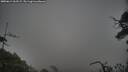 ./images/calvert/fitz-hugh-hecate/20250611/fitz-hugh-hecate20250611_063509M.jpg