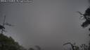 ./images/calvert/fitz-hugh-hecate/20250611/fitz-hugh-hecate20250611_064010M.jpg