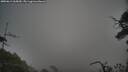 ./images/calvert/fitz-hugh-hecate/20250611/fitz-hugh-hecate20250611_065010M.jpg