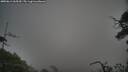 ./images/calvert/fitz-hugh-hecate/20250611/fitz-hugh-hecate20250611_065510M.jpg