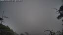 ./images/calvert/fitz-hugh-hecate/20250611/fitz-hugh-hecate20250611_070510M.jpg