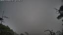 ./images/calvert/fitz-hugh-hecate/20250611/fitz-hugh-hecate20250611_071009M.jpg