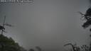 ./images/calvert/fitz-hugh-hecate/20250611/fitz-hugh-hecate20250611_071510M.jpg