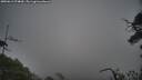 ./images/calvert/fitz-hugh-hecate/20250611/fitz-hugh-hecate20250611_074010M.jpg