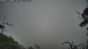 ./images/calvert/fitz-hugh-hecate/20250611/fitz-hugh-hecate20250611_075010M.jpg