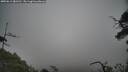 ./images/calvert/fitz-hugh-hecate/20250611/fitz-hugh-hecate20250611_083510M.jpg