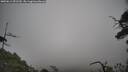 ./images/calvert/fitz-hugh-hecate/20250611/fitz-hugh-hecate20250611_092510M.jpg