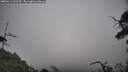 ./images/calvert/fitz-hugh-hecate/20250611/fitz-hugh-hecate20250611_093510M.jpg
