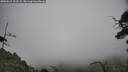 ./images/calvert/fitz-hugh-hecate/20250611/fitz-hugh-hecate20250611_102509M.jpg