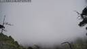 ./images/calvert/fitz-hugh-hecate/20250611/fitz-hugh-hecate20250611_113510M.jpg