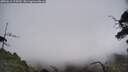 ./images/calvert/fitz-hugh-hecate/20250611/fitz-hugh-hecate20250611_114509M.jpg