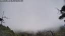 ./images/calvert/fitz-hugh-hecate/20250611/fitz-hugh-hecate20250611_115009M.jpg