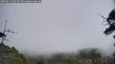 ./images/calvert/fitz-hugh-hecate/20250611/fitz-hugh-hecate20250611_123509M.jpg
