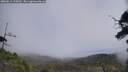 ./images/calvert/fitz-hugh-hecate/20250611/fitz-hugh-hecate20250611_125010M.jpg