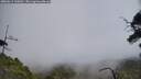 ./images/calvert/fitz-hugh-hecate/20250611/fitz-hugh-hecate20250611_130010M.jpg
