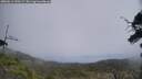 ./images/calvert/fitz-hugh-hecate/20250611/fitz-hugh-hecate20250611_130508M.jpg