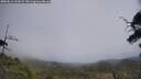 ./images/calvert/fitz-hugh-hecate/20250611/fitz-hugh-hecate20250611_131009M.jpg