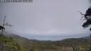./images/calvert/fitz-hugh-hecate/20250611/fitz-hugh-hecate20250611_132509M.jpg