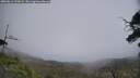 ./images/calvert/fitz-hugh-hecate/20250611/fitz-hugh-hecate20250611_133009M.jpg