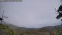 ./images/calvert/fitz-hugh-hecate/20250611/fitz-hugh-hecate20250611_133510M.jpg