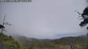 ./images/calvert/fitz-hugh-hecate/20250611/fitz-hugh-hecate20250611_134510M.jpg