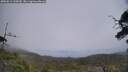 ./images/calvert/fitz-hugh-hecate/20250611/fitz-hugh-hecate20250611_135010M.jpg