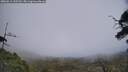 ./images/calvert/fitz-hugh-hecate/20250611/fitz-hugh-hecate20250611_135510M.jpg