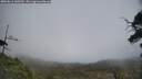 ./images/calvert/fitz-hugh-hecate/20250611/fitz-hugh-hecate20250611_140510M.jpg