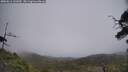 ./images/calvert/fitz-hugh-hecate/20250611/fitz-hugh-hecate20250611_141010M.jpg