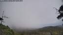 ./images/calvert/fitz-hugh-hecate/20250611/fitz-hugh-hecate20250611_142509M.jpg